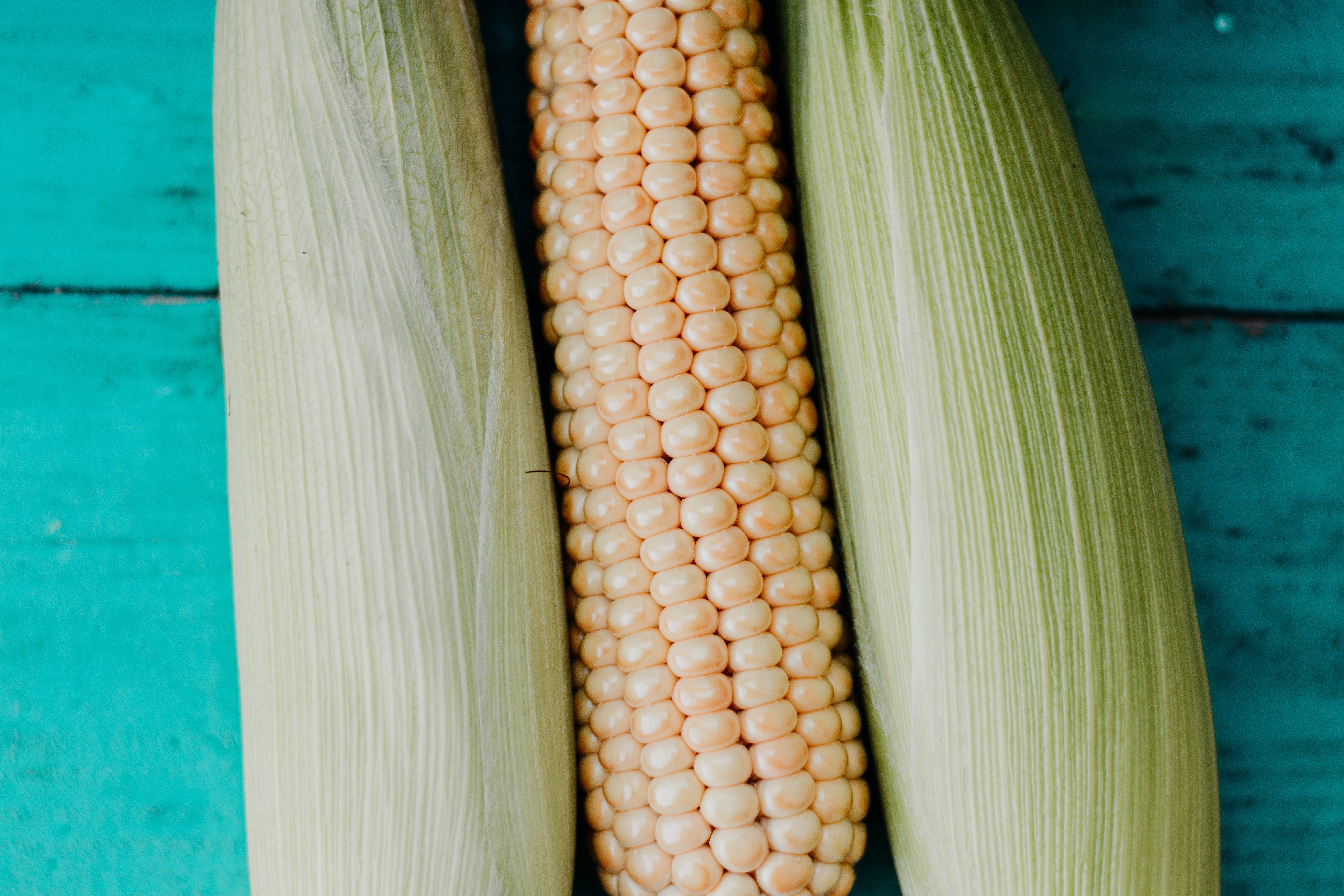 corn