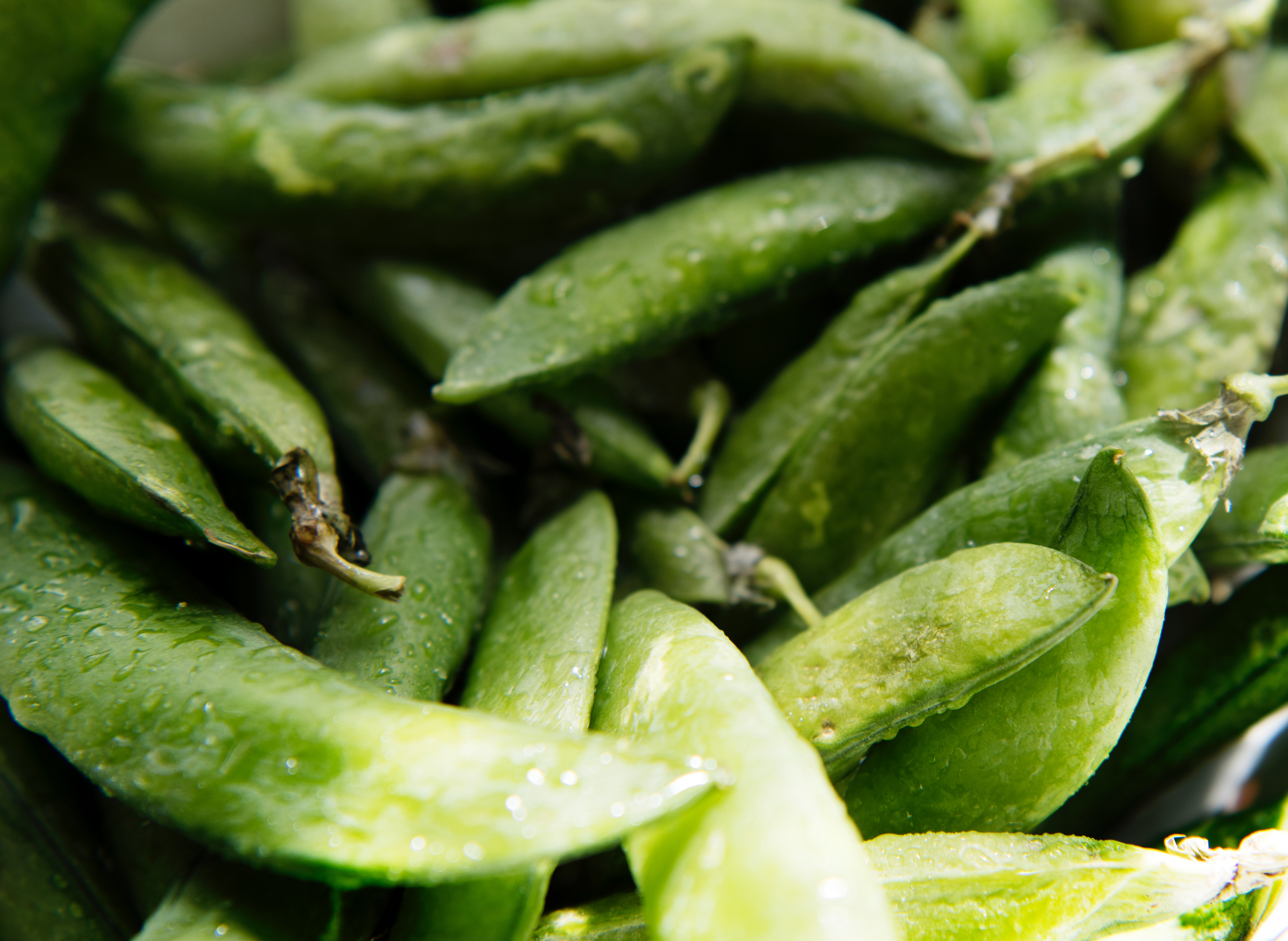 green beans